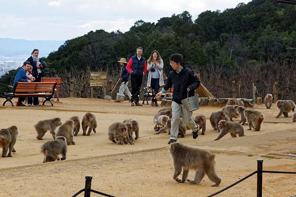 Kyoto Bucket List: 25 Amazing Things to Do (2026)